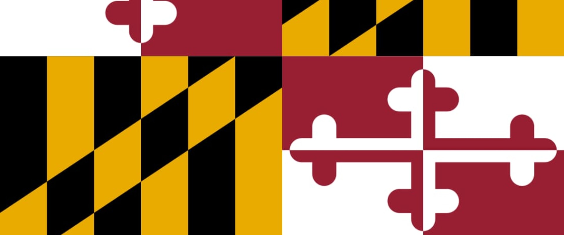 What Are Extraordinary Medical Expenses in Child Support in Maryland?